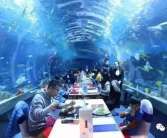 天津极地海洋馆,探秘海洋生物的奇幻之旅