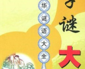 20字谜语大全,20则精选字谜，挑战你的智慧极限