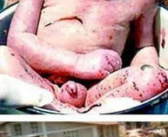 中国未解29件怪事,29件神秘怪事揭秘