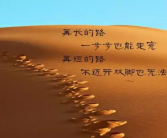 人生励志语录写给自己,逐梦人生——人生励志语录启示录