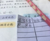 土字开头的成语,根深叶茂——土字成语的魅力