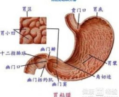 消化系统疾病最常见的症状,常见消化系统疾病症状解析与护理要点