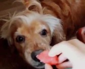 网友实名造曝伊能静秦昊婚变揭发细节秦昊疑北京密会女人！Lisa拥吻妄言碎了：和三令郎超甜工作超火（Lisa回应恋情不肯公然和LV三令郎恋情想具有个人空间）及大瓜