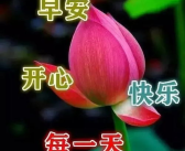 问候的暖心句子,精选暖心问候句子集锦”