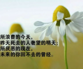 励志的句子经典语句图片,励志句子经典语句精选